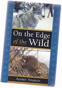 On the Edge of the Wild